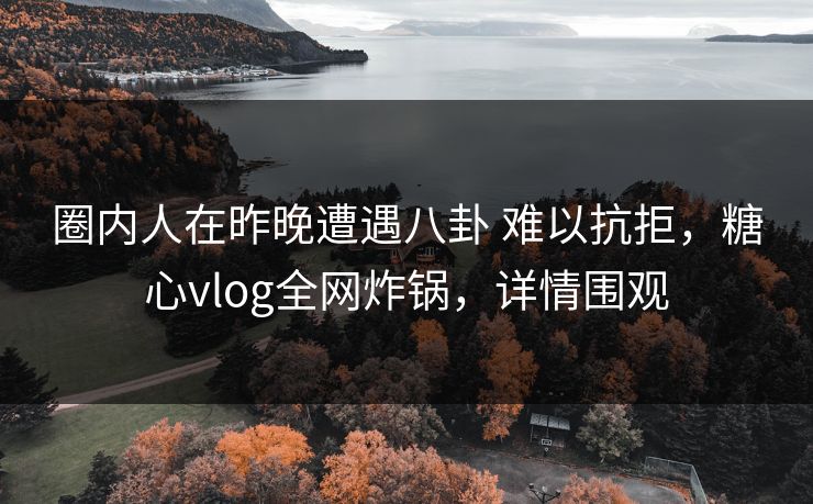 圈内人在昨晚遭遇八卦 难以抗拒，糖心vlog全网炸锅，详情围观  第1张