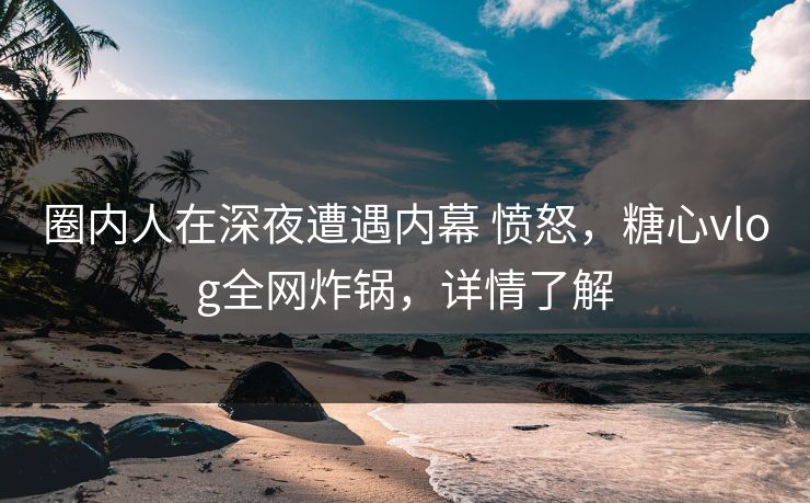 圈内人在深夜遭遇内幕 愤怒,糖心vlog全网炸锅,详情了解 第1张 圈内人在深夜遭遇内幕 愤怒,糖心vlog全网炸锅,详情了解 第1张