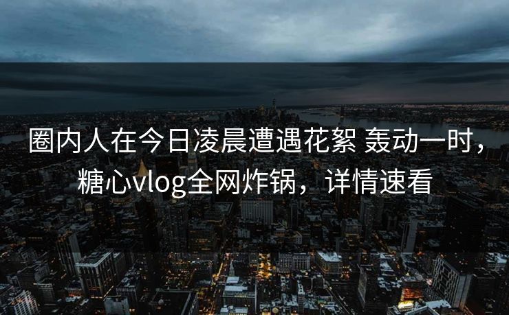 圈内人在今日凌晨遭遇花絮 轰动一时，糖心vlog全网炸锅，详情速看